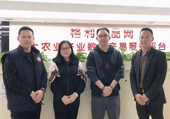 强强联合